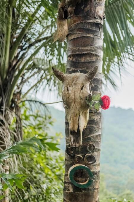 Leela Garden Resort Bamboolove Baan Tai Exterior photo